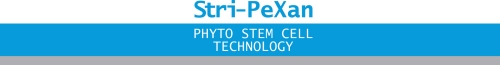 Imagen Logo Stri-PeXan PSCTech, Tecnologa Clulas Madre de KLAPP